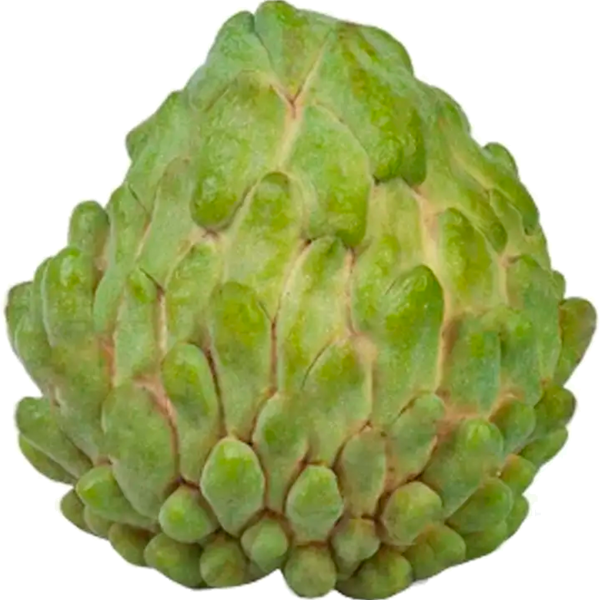 Atemóia (híbrido de cherimoia e pinha)