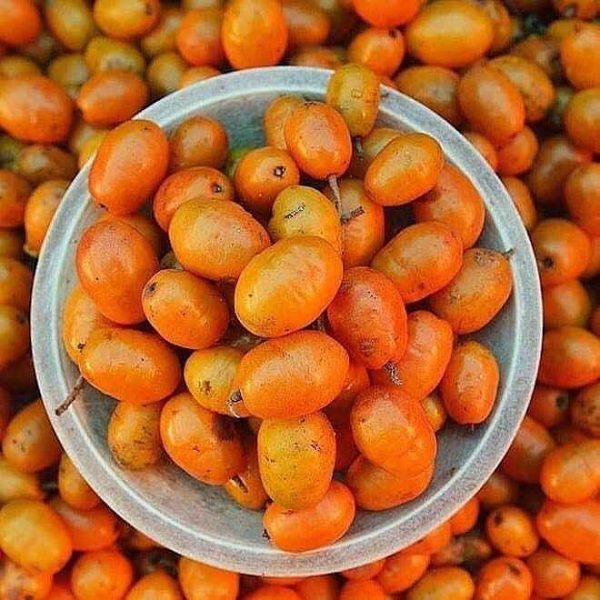 Ciriguela (ou seriguela)