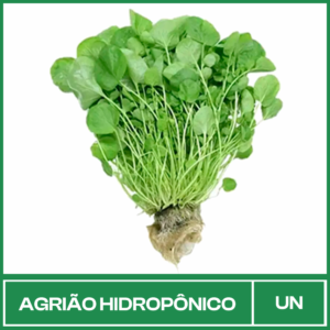 Agrião Hidropônico