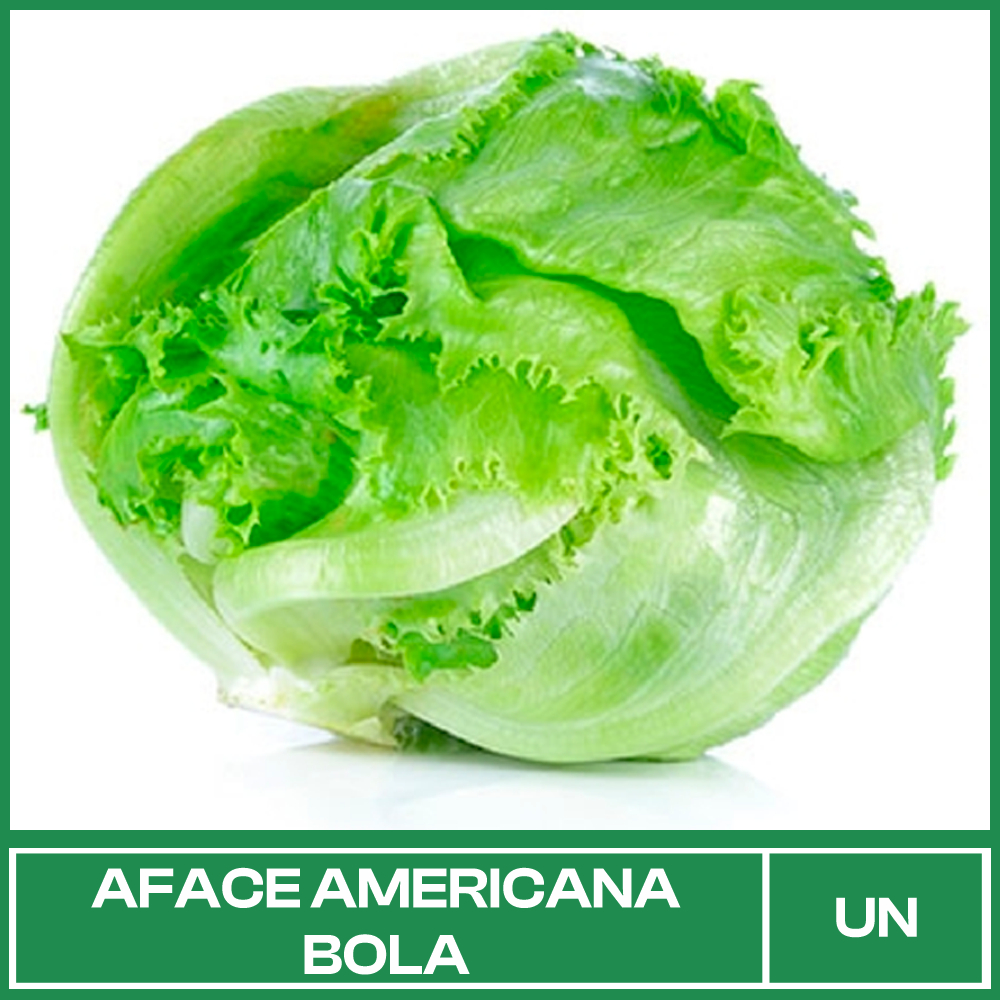 Alface Americana Bola