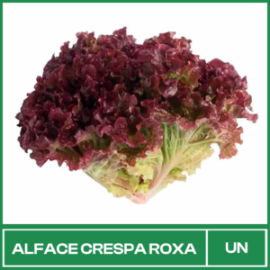 Alface Crespa Roxa