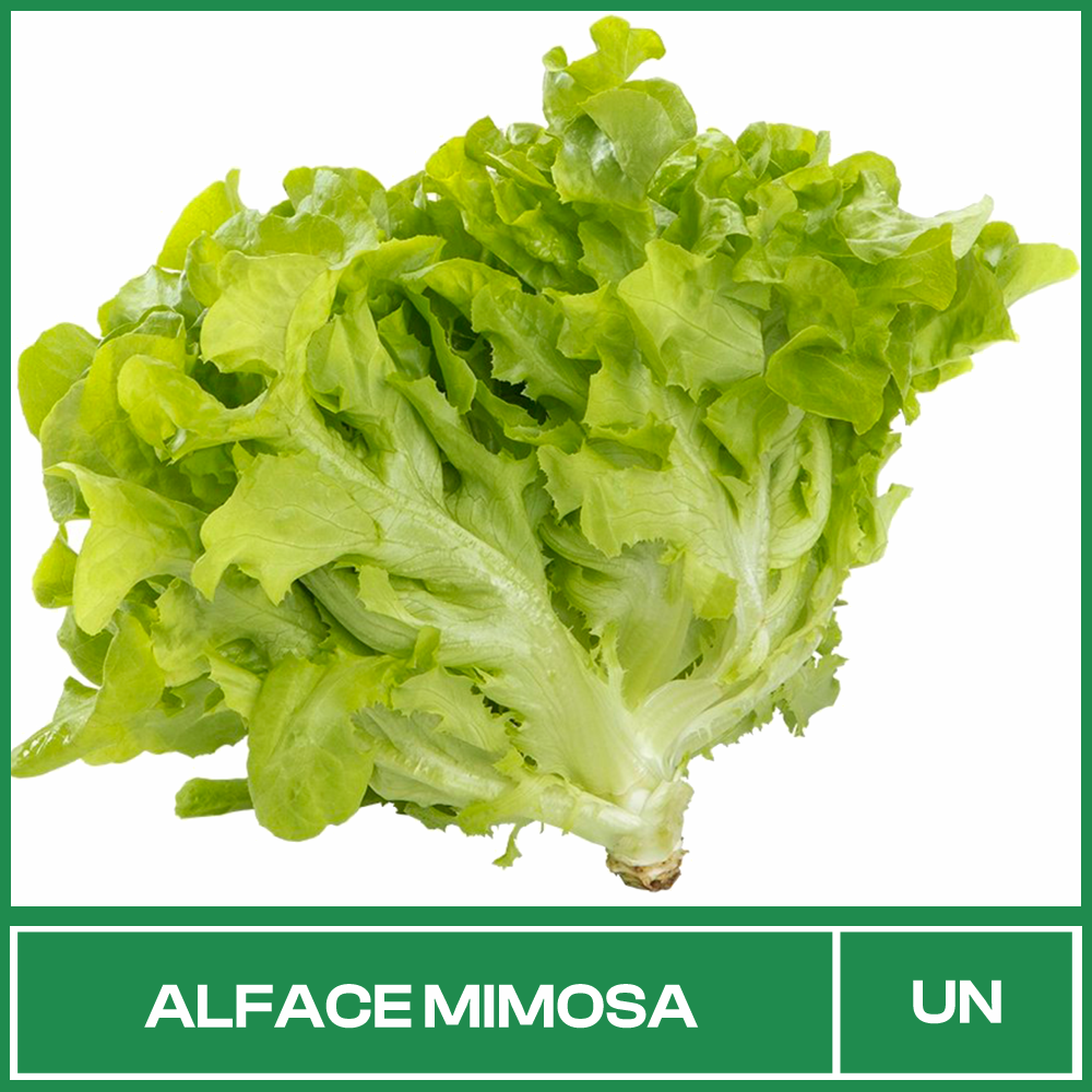 Alface Mimosa Maço