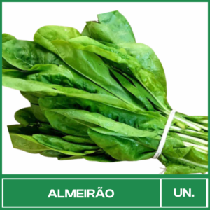 Almeirão