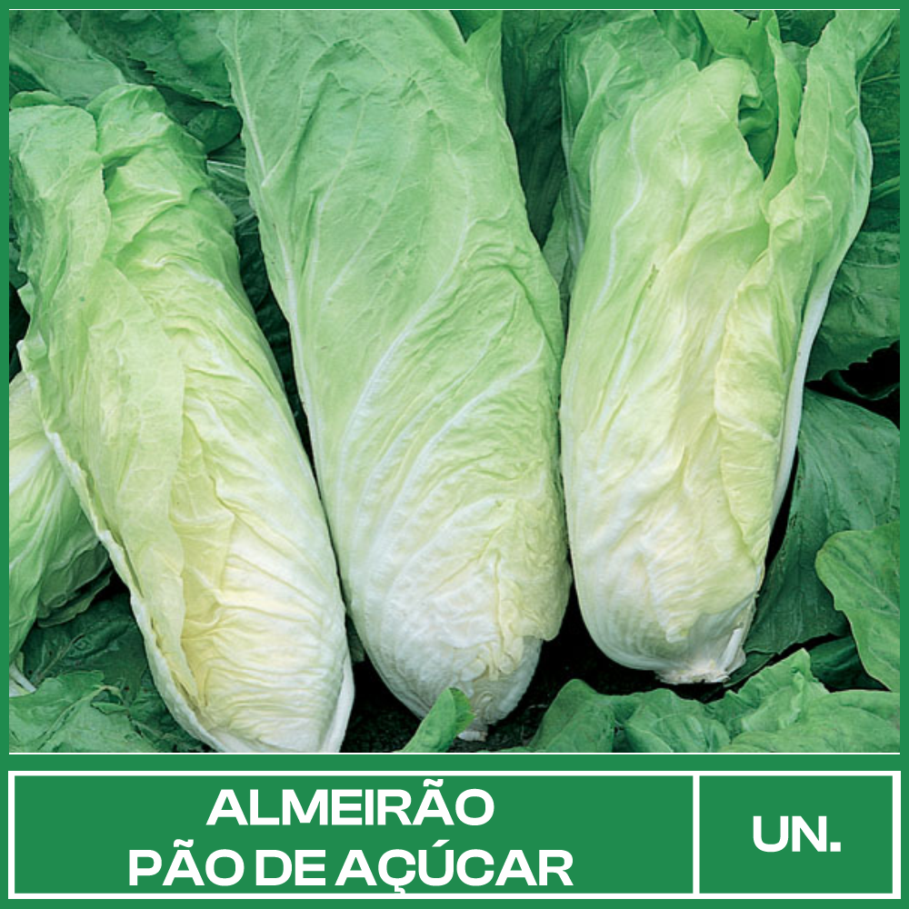 Almeirão Pão De Açúcar