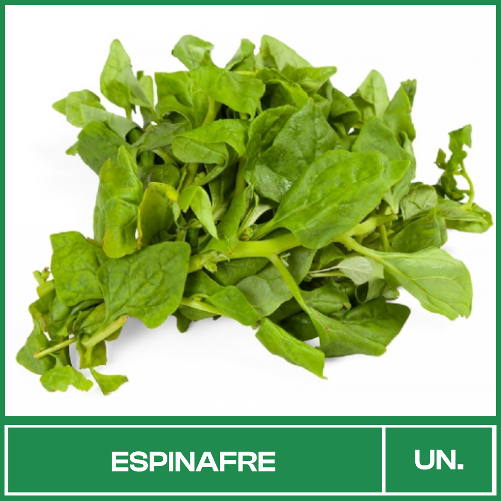 Espinafre Maço