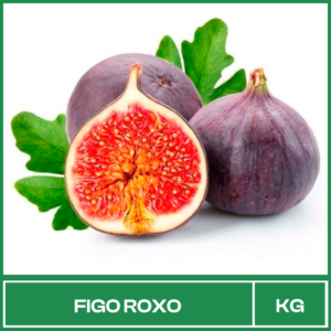 Figo Roxo