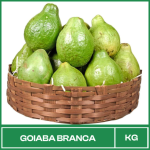 Goiaba Branca