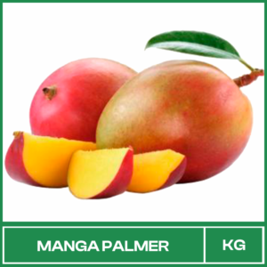 Manga Palmer kg
