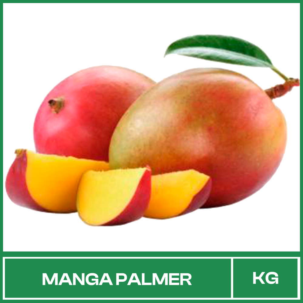 Manga Palmer kg Manga Palmer kg