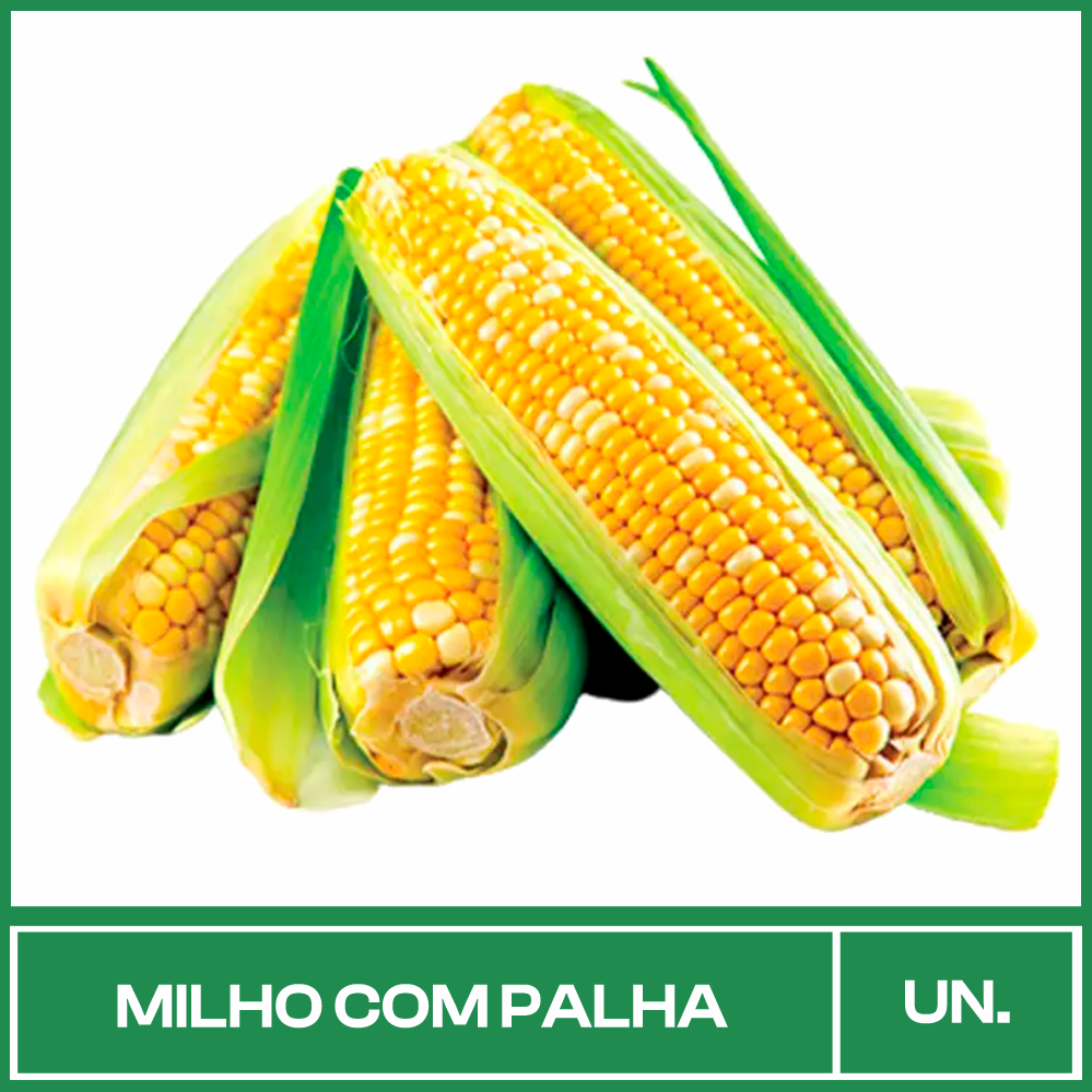 Milho Verde Unidade Espiga Com Palha Milho Verde Unidade Espiga Com Palha