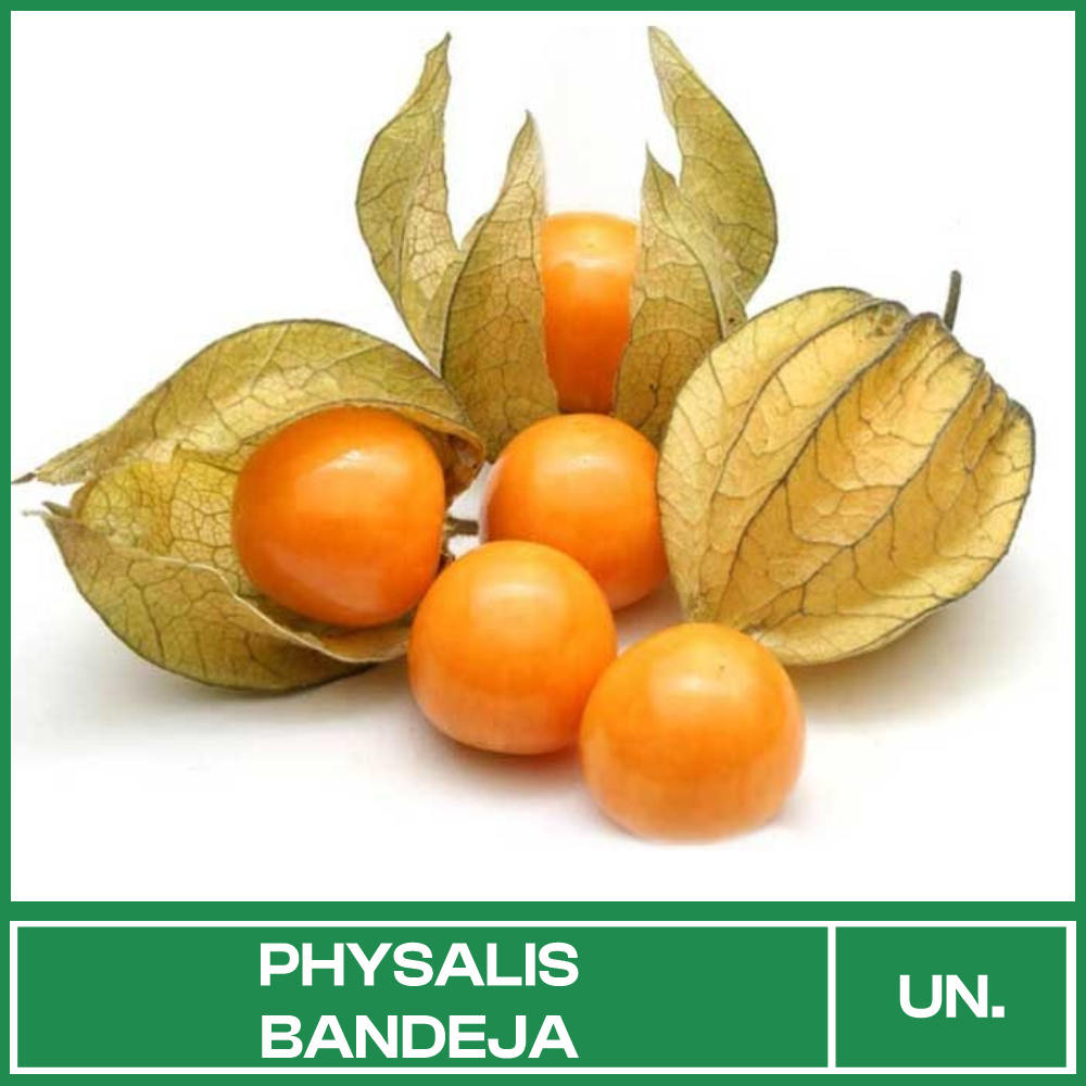 Physalis Bandeja