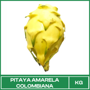 Pitaya Amarela Colombiana