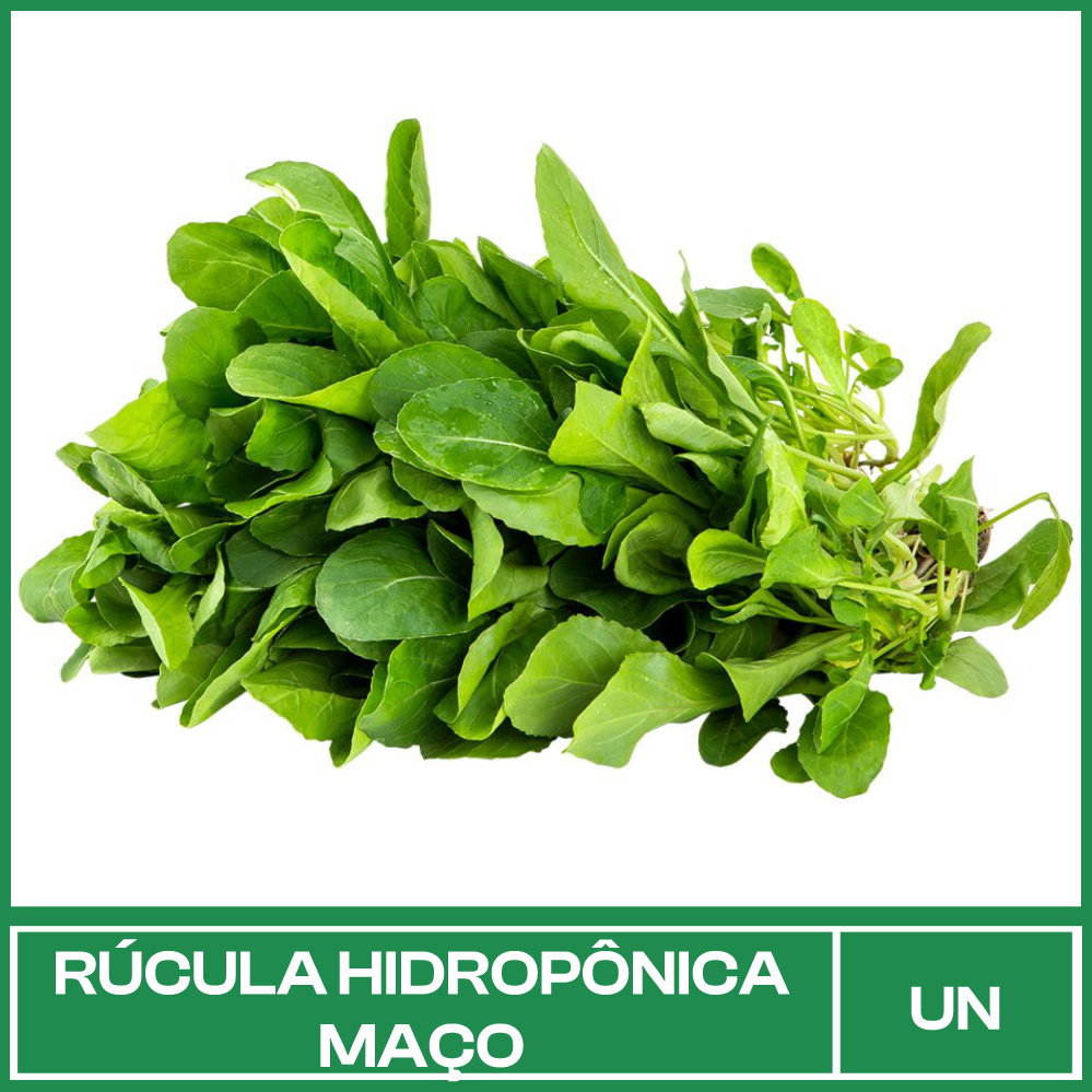 Rúcula Hidropônica Maço Rúcula Hidropônica Maço