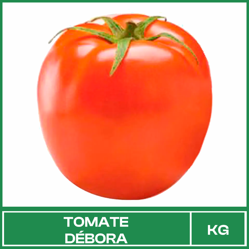 Tomate Débora