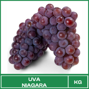 Uva Niagara