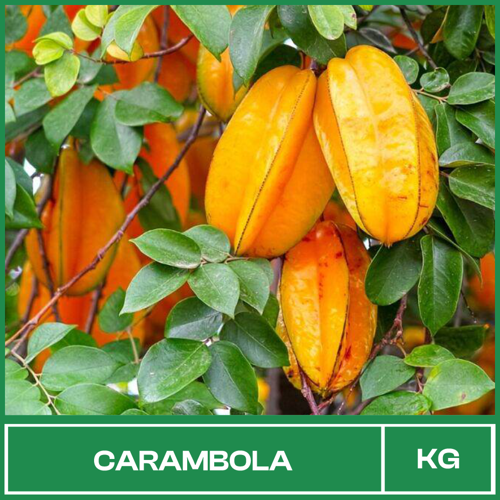Carambola 03
